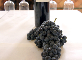 Primera ruta del vino, en Valdemoro