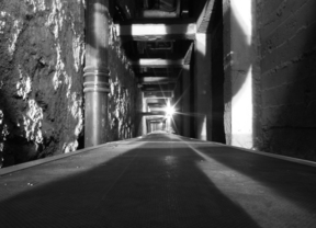 Medio siglo de arqueología en 100 imágenes