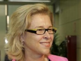 IU pide a la Comunidad que aclare la adjudicación de suelos en Los Molinos