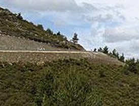 Un 'atajo' por la reserva de la Sierra del Rincón