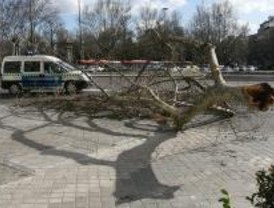 Los bomberos realizan más de ochenta intervenciones por lluvia y viento