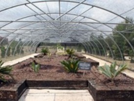 Real Jardín Botánico Juan Carlos I