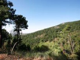 Riesgo elevado de incendios en la Sierra el 'finde'