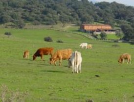 Concentración de campesinos para exigir una solución a la crisis de la ganaderia