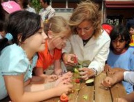 Más de 30 colegios de la capital tienen huertos escolares