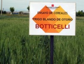 UGT acusa a la Comunidad de desmantelar El Encín