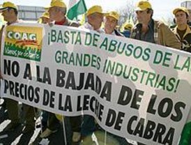 El COAG reparte 3.000 litros de leche como protesta por la bajada de precios