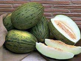 Un estudio certifica la calidad del melón de Villaconejos