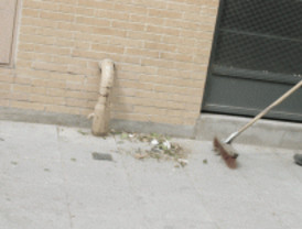 Investigadores desarrollan un cerebro para las máquinas de limpieza