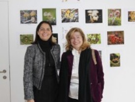 Concurso fotográfico de setas en Pozuelo