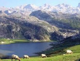 La pareja que se perdió en los Picos de Europa ya está en Madrid