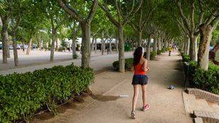 Sabanés ve "solvente" el corredor ecológico que propone Ecologistas