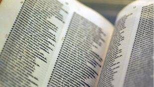 Crean un diccionario de lectura fácil para personas con discapacidad intelectual