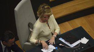 El PP emite en el Pleno imágenes de escraches a miembros de su partido y pregunta a Carmena su opinión