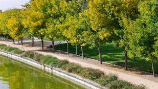 El Ayuntamiento dejará de utilizar glifosato para acabar con las malas hierbas de parques y jardines