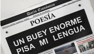 Maite Cabrerizo presenta el libro 'Un buey enorme pisa mi lengua'