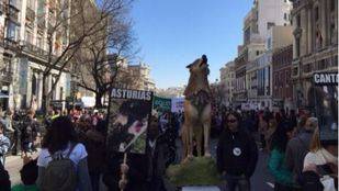 Cientos de personas piden un lobo "vivo y protegido"