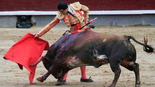 Coslada someterá a consulta popular los festejos taurinos