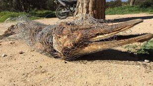 Hallan el cuerpo de un cetáceo junto a un carril bici de la Casa de Campo