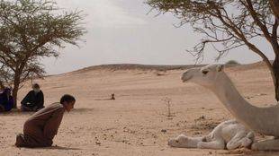 Los cortometrajes desembarcan en Madrid