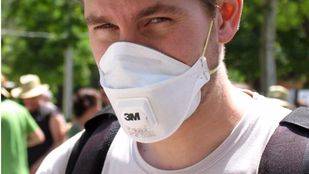 La Comunidad prevé niveles medios de polen de plátano hasta el viernes