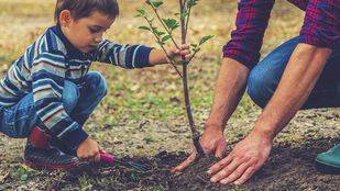 Huertos sostenibles y de integración en el centro Ponce de León