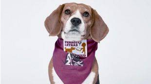 El Corte Inglés organiza una jornada educativa con libros y mascotas