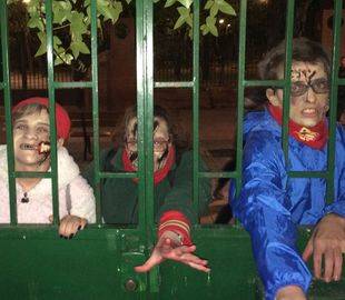 Récord de aullidos en la 'Survival Zombie'