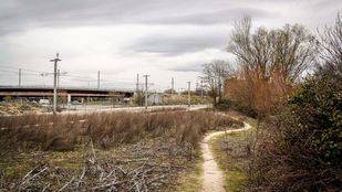 Queda desierta la subasta de los terrenos de Defensa en la zona de Colonia Jardín