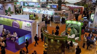 Mac Fruit Attraction recibe a 10.260 visitantes en su primera edición