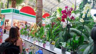 ¿Sin planes para el fin de semana?