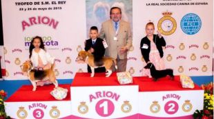 La exposición internacional canina acoge más de 4.000 ejemplares