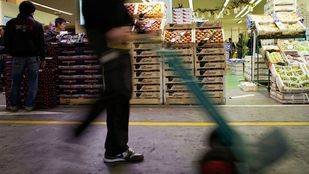 El Ayuntamiento abre las puertas de Mercamadrid al turismo