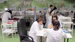 SATSE pide al Gobierno regional que proteja de agresiones a los profesionales sanitarios en su ámbito laboral