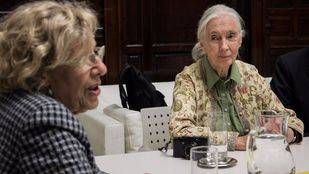 Carmena valora el proyecto de la primatóloga Jane Goodall como "un antídoto contra la violencia"