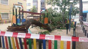Un árbol se desploma sobre un parque de Arganzuela