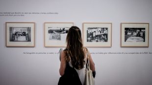 El Danubio es femenino