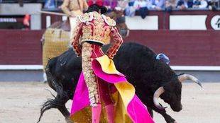 La Comunidad asume los premios taurinos de San Isidro en exclusiva tras la renuncia del Ayuntamiento