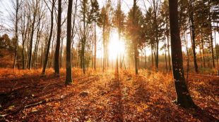 Más concienciación para conseguir un mejor planeta