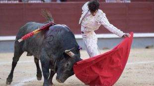 San Isidro: los victorinos, interesantes tuertos en el país de los descastados ciegos