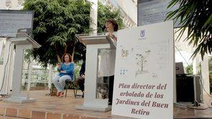 Madrid aprueba el plan del arbolado del Retiro tras intervenir en 3.500 ejemplares por seguridad