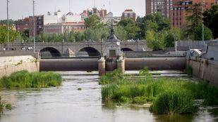 El Ayuntamiento impulsa el plan de Ecologistas para renaturalizar el Manzanares