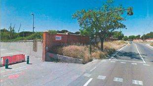 El Ayuntamiento talará 16 árboles para ampliar la carretera de La Fortuna