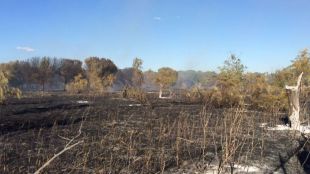 Arden 12 hectáreas de pasto en un incendio entre Madrid y Alcorcón