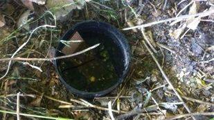 La Universidad Complutense coloca trampas para prevenir el zika