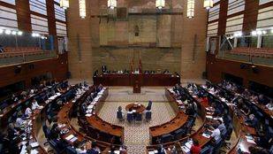 La oposición reclamará un Consejo de la Juventud "plural" en la Asamblea