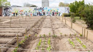 Huertos ecológicos y de integración a un paso del centro de Madrid