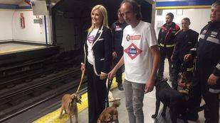 Los madrileños podrán viajar con sus perros en Metro desde este miércoles