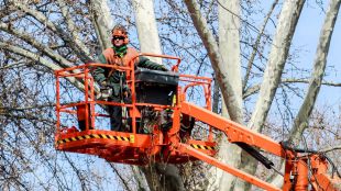 Sindicatos y vecinos piden aumentar la plantilla para paliar la falta de mantenimiento de zonas verdes