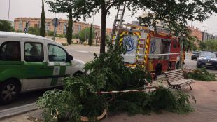 Una mujer de 45 años resulta herida al caer un árbol en el Ensanche de Vallecas
